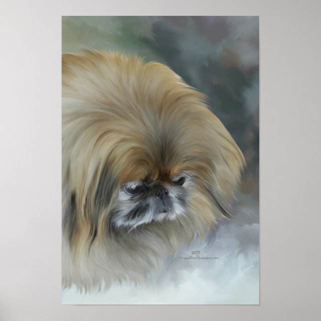 Eftertänksam Pekingeser Poster (Framsidan)