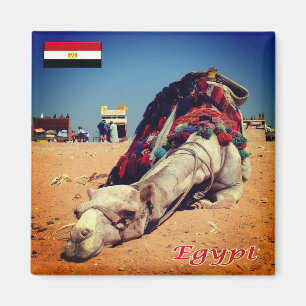 EG - Egypten - Kameltrötta Magnet