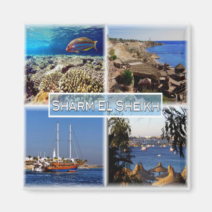 EG-Egypten - Sharm El Sheik - Röda havet - Magnet