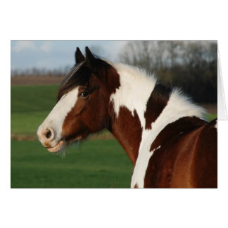 Egehojs Maj Hälsningskort