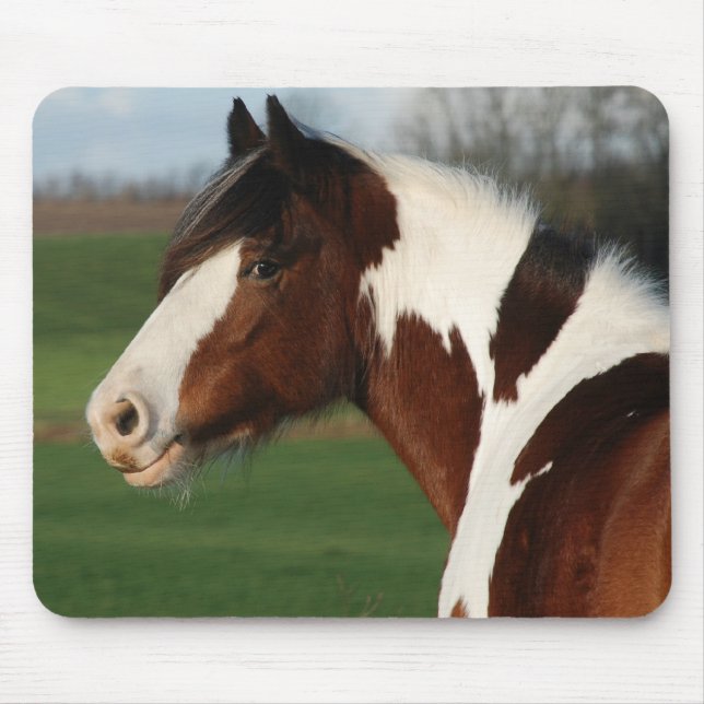 Egehojs Maj Musmatta (Framsidan)