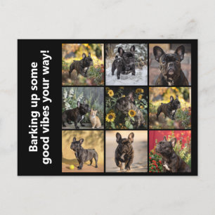 Egen 9 x bilder + text vykort