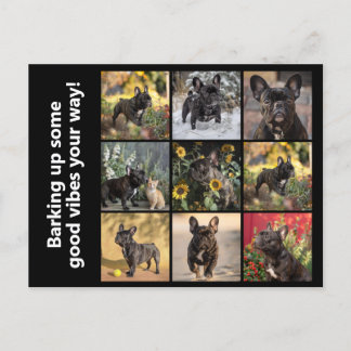 Egen 9 x bilder + text vykort