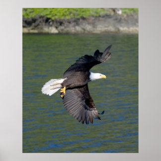 EGEN FLYGNING POSTER