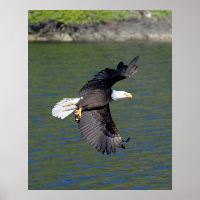 EGEN FLYGNING POSTER (Framsidan)