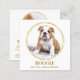 Egen Foto Elegant Guld Hund Husdjur Sociala Medier Fyrkantigt Visitkort (Front/Back)