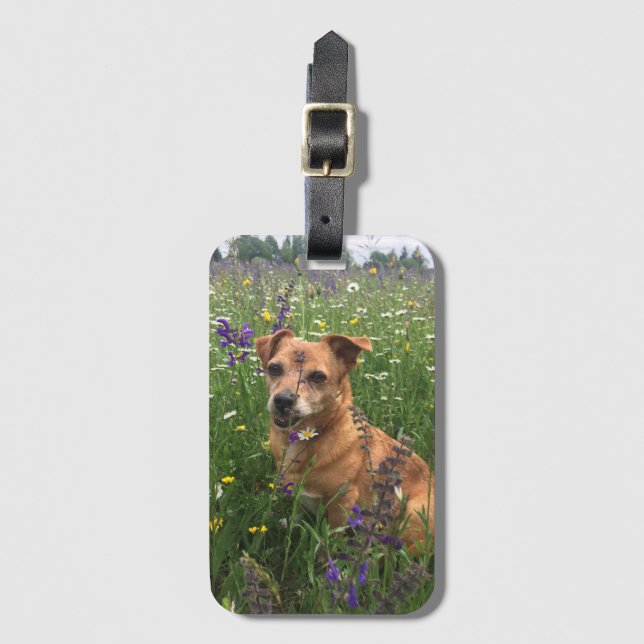 Egen hundbild bagagebricka (Framsida vertikal)