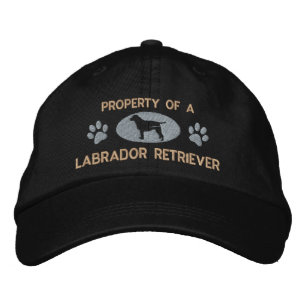 Egendom i ett labradoborrevarv Broiderat Hat Broderad Keps