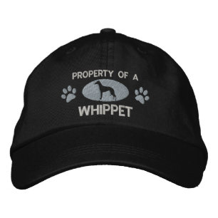 Egendom i ett "whibit Embroized Hat" Broderad Keps