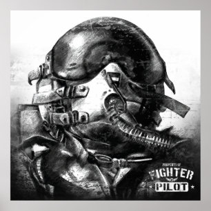 Egendom i Fighter Pilot Poster
