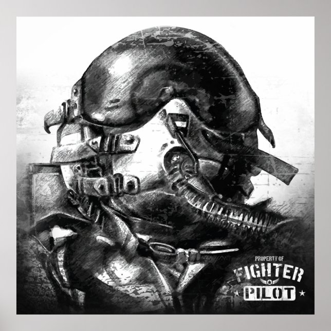 Egendom i Fighter Pilot Poster (Framsidan)