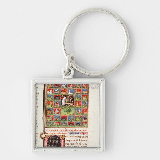 Egendomarna av djur fyrkantig silverfärgad nyckelring (Framsidan)