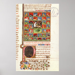 Egendomen Animals Poster