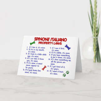 Egendomlagar 2 för SPINONE ITALIANO Kort