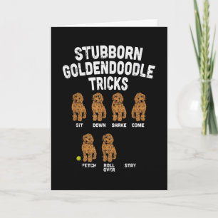 Egensinniga Goldendoodle-trick Rolig hundtränare m Kort