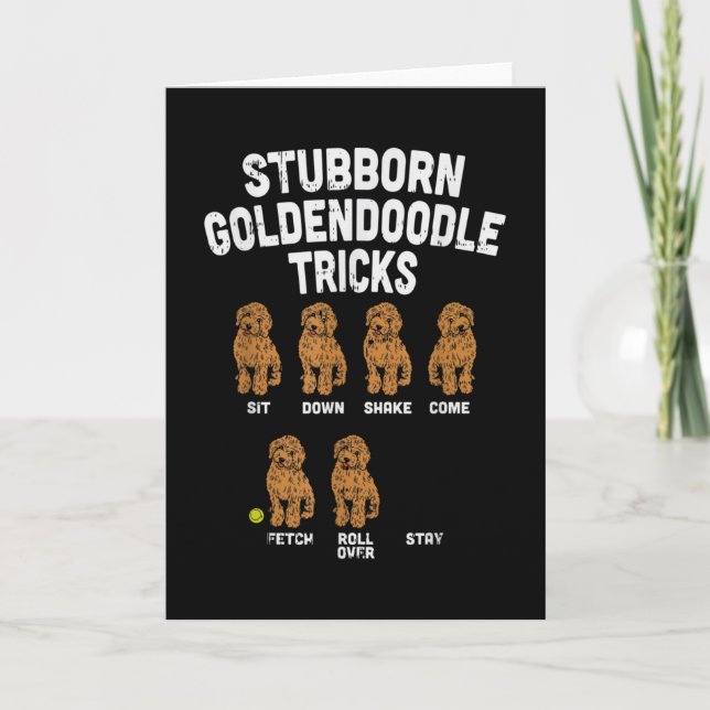 Egensinniga Goldendoodle-trick Roliga hundtränare  Kort (Framsida)