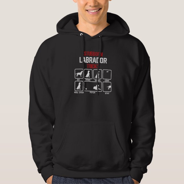 Egensinniga Labrador-trick Premium Hoodie (Framsida)