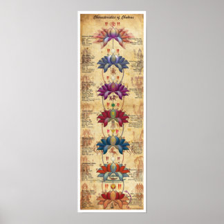 Egenskaper hos Chakras - Kontraktiv Stil Poster