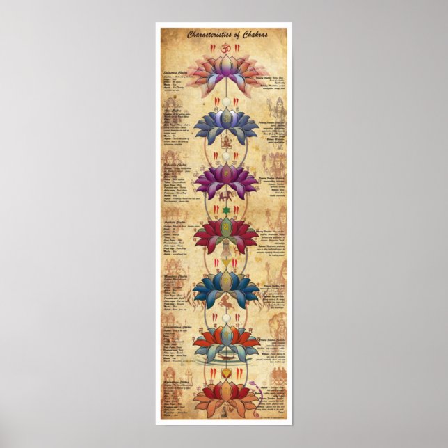 Egenskaper hos Chakras - Kontraktiv Stil Poster (Framsidan)