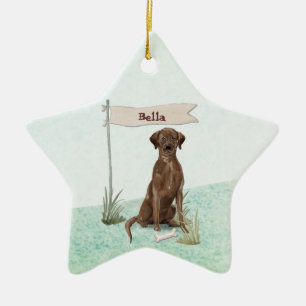 Eget namn Chocolate Lab Pet-Hund Julgransprydnad Keramik