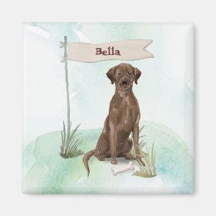 Eget namn Chocolate Lab Pet-Hund Magnet