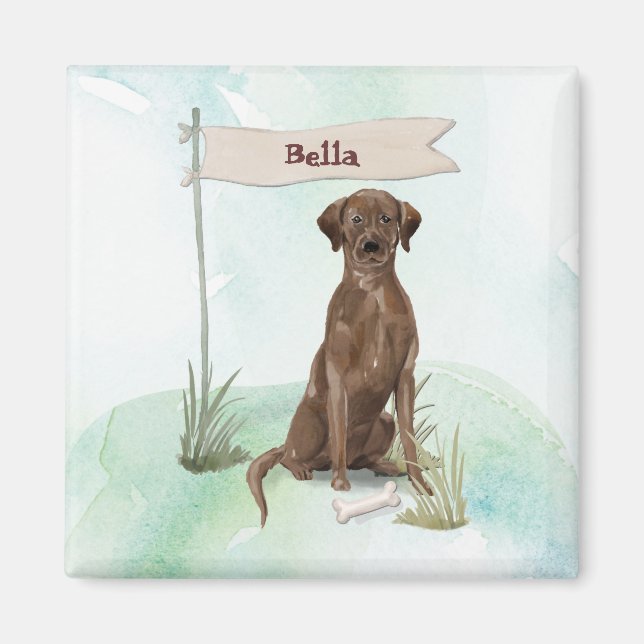 Eget namn Chocolate Lab Pet-Hund Magnet (Framsidan)