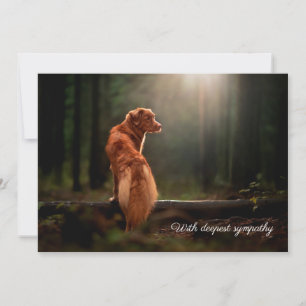 eget sympatikort för fotoavbildning i hund inbjudningar