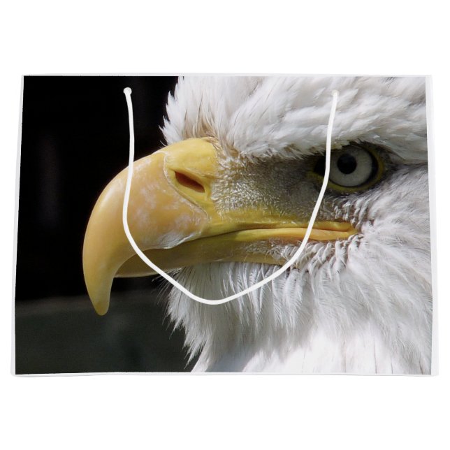 EGFJ AV BETT FÅGLAR (Framsidan)