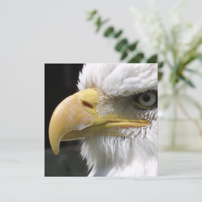 EGFJ AV BETT FÅGLAR KORT (Stående Fram)