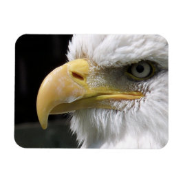 EGFJ AV BETT FÅGLAR MAGNET