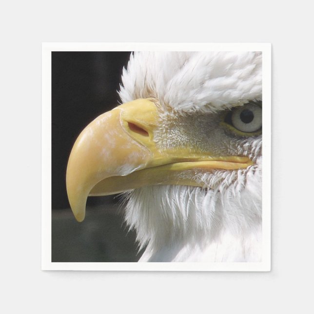 EGFJ AV BETT FÅGLAR PAPPERSSERVETT (Framsidan)