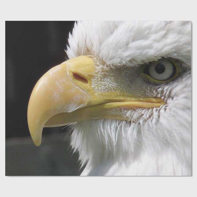 EGFJ AV BETT FÅGLAR PRESENTPAPPER (Platt)