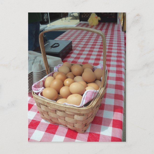 Egg Basket Vykort (Framsida)