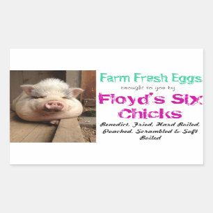 Egg Carton Sticker Rektangulärt Klistermärke