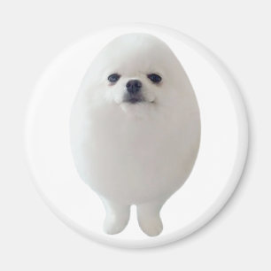 Egg Hund Magnet