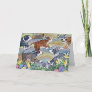 Egg Hunting Hundar, Gräns Collie Card Helgkort