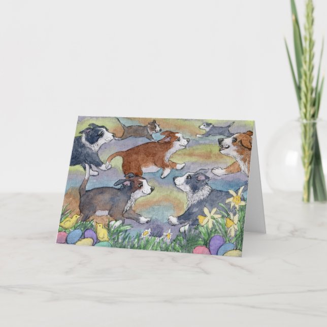 Egg Hunting Hundar, Gräns Collie Card Helgkort (Framsida)