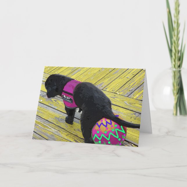 Egg Lay Påsk-kort Helgkort (Framsida)