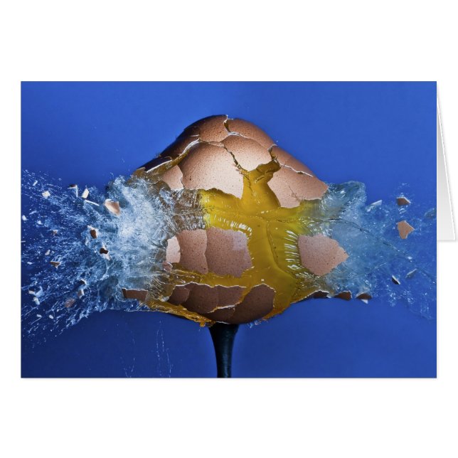 Eggceptional Hälsningskort (Framsidan Horizontal)