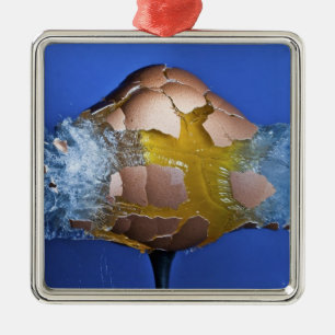 Eggceptional Julgransprydnad Metall