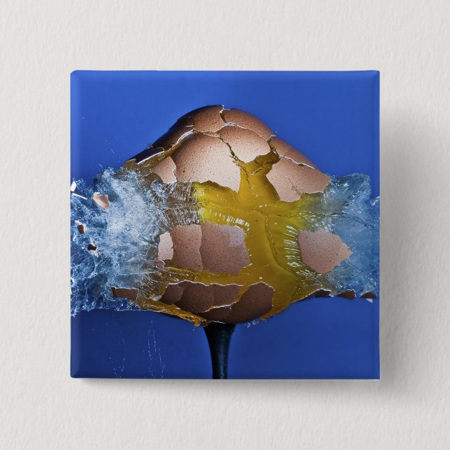 Eggceptional Knapp (Framsida)