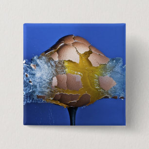 Eggceptional Knapp