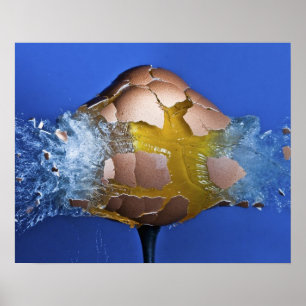 Eggceptional Poster