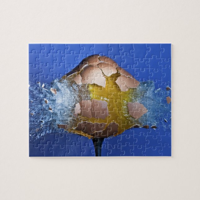 Eggceptional Pussel (Horisontell)