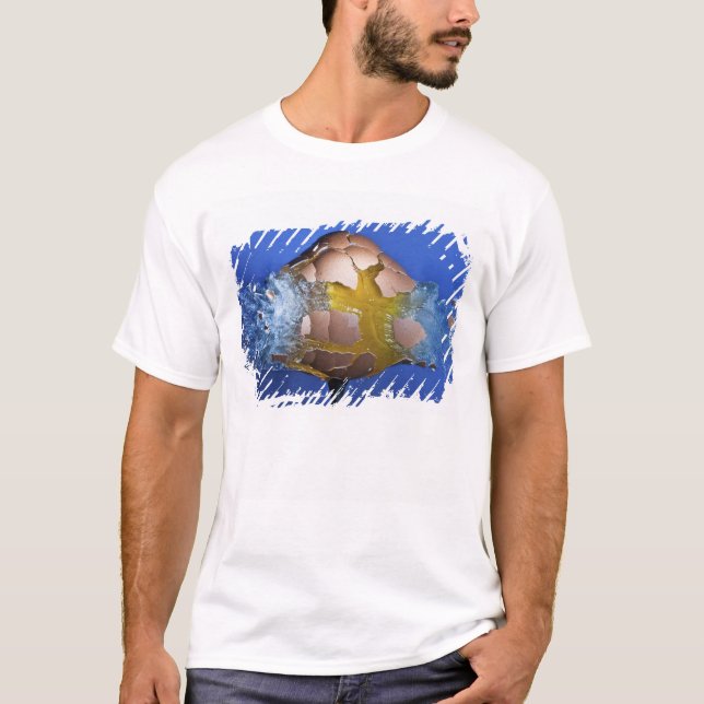 Eggceptional Tee (Framsida)