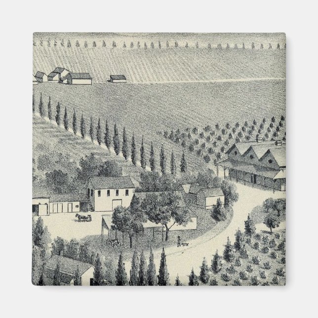 Eggers Vineyard, Fresno Magnet (Framsidan)