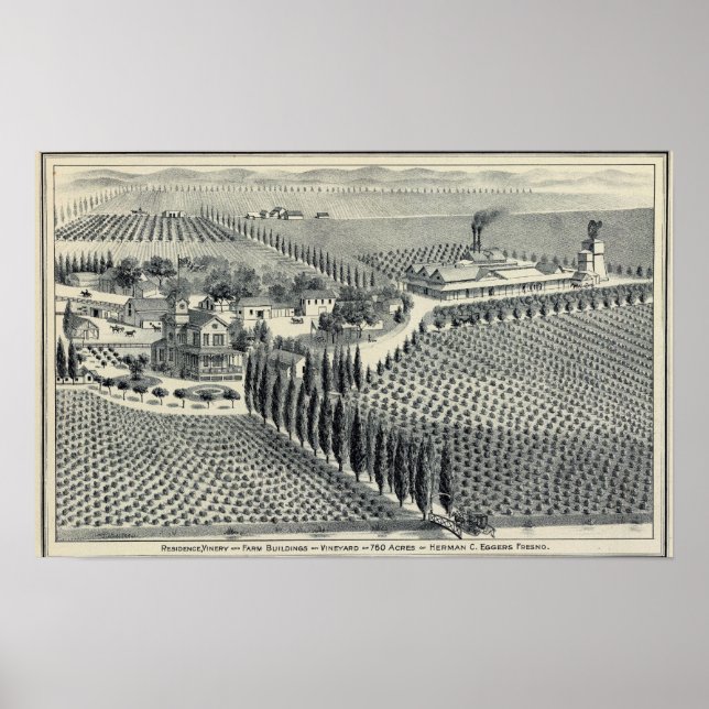 Eggers Vineyard, Fresno Poster (Framsidan)