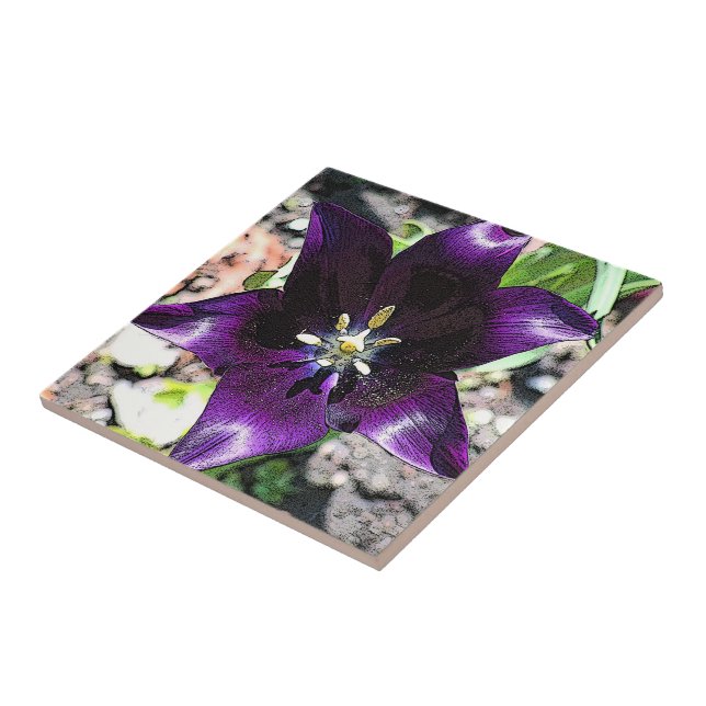 ’EGGPLANT FÄRGAD TULIP’ CERAMIC TILE/TRIVET KAKELPLATTA (Sidan)