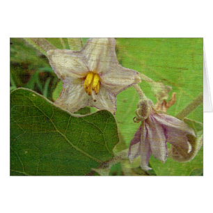 Eggplant Flowers Hälsningskort