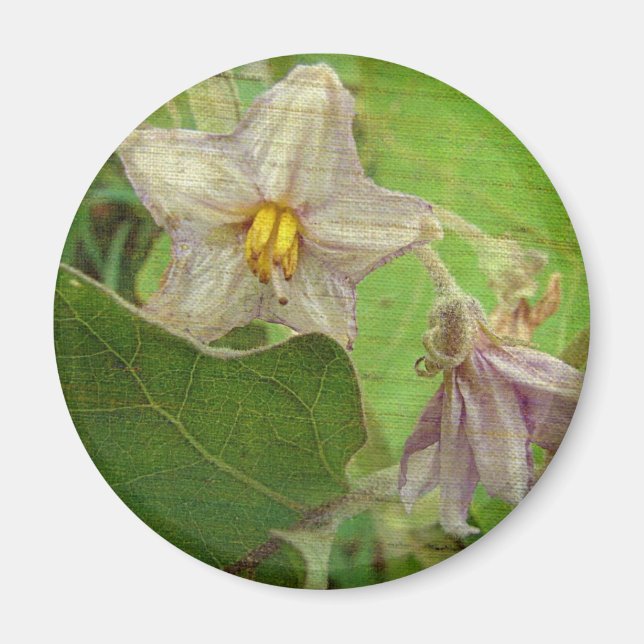 Eggplant Flowers Magnet (Framsidan)